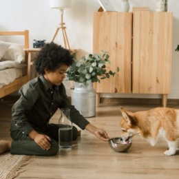 a boy feeding his dog
