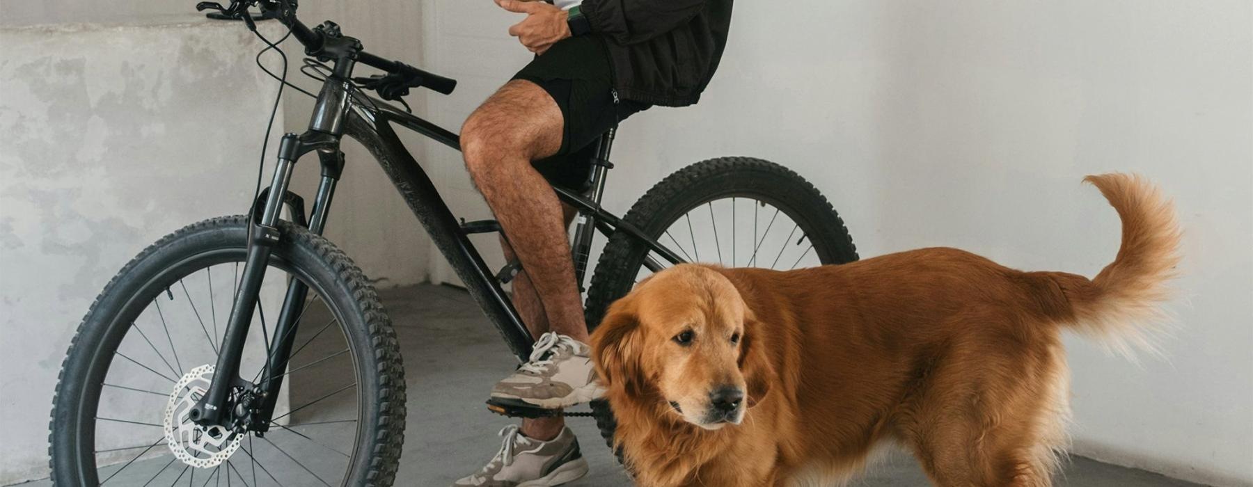 a man sitting on a bike next to a dog