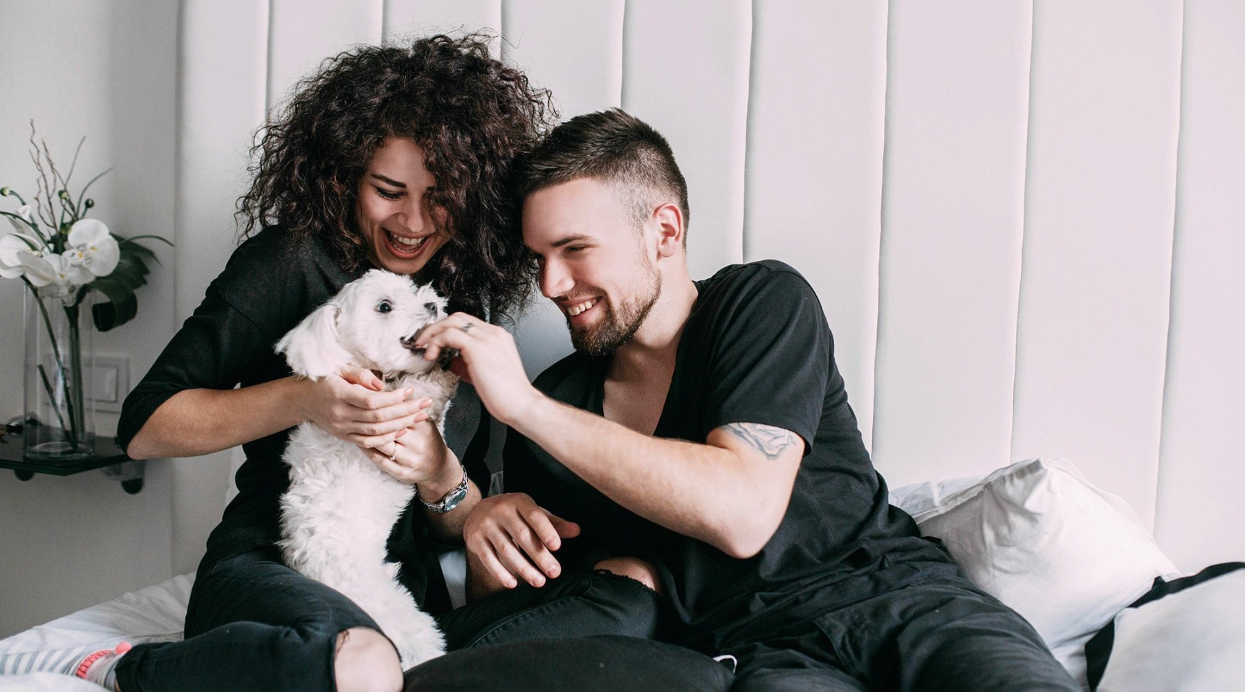 a couple feeding their dog